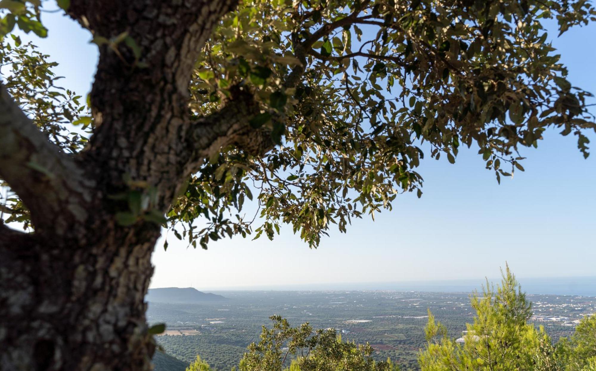villa Bagorda Selva Di Fasano Esterno foto